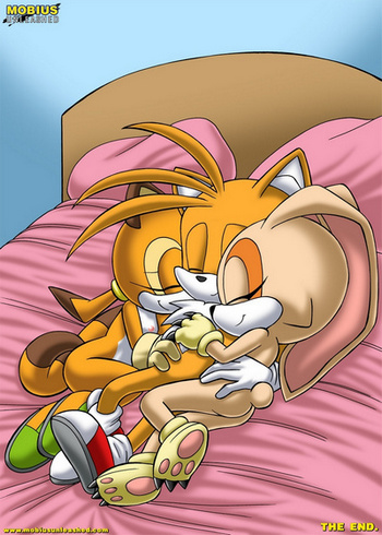 Cover of Sonic Project XXX 2.5